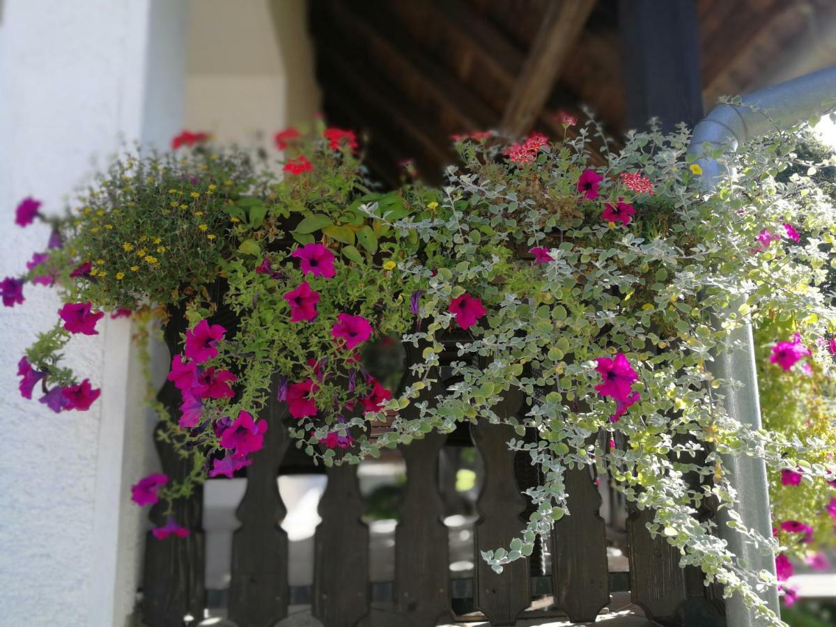 Guest House Stefanija Poljanak Ngoại thất bức ảnh